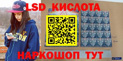гидропоника Дубна