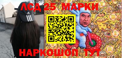 гидропоника Дубна