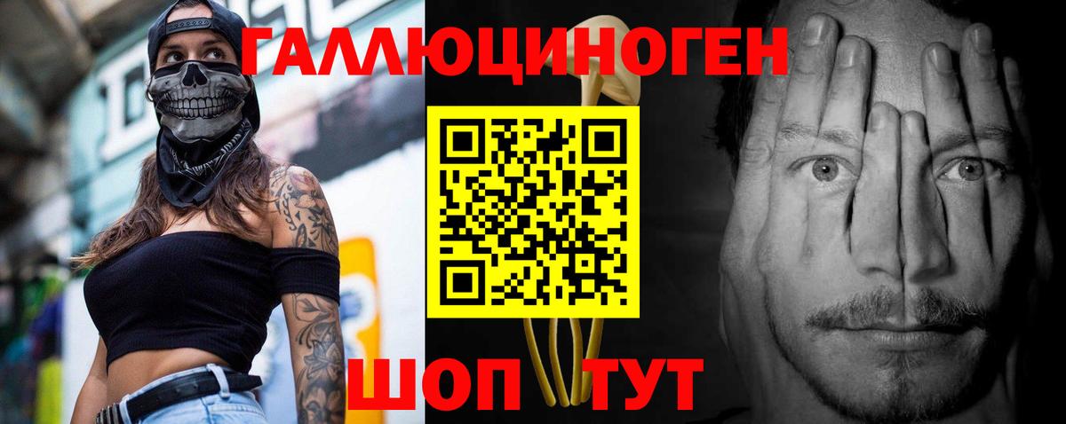 Галлюциногенные грибы Psilocybe Грозный